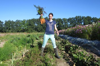 Erfolgreiche Karottenernte - August 2016