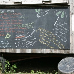 Kultgemüse-Tafel mit aktuellen Informationen