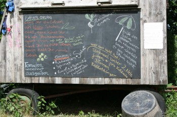 Kultgemüse-Tafel mit aktuellen Informationen