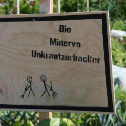 Unkrautzerhacker Juli 2018