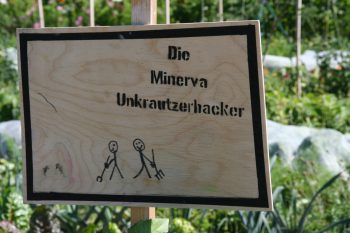 Unkrautzerhacker Juli 2018