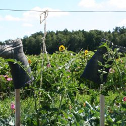 Gummistiefel Juli 2018