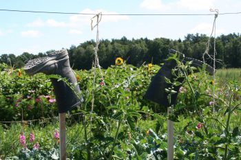 Gummistiefel Juli 2018