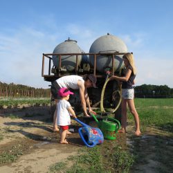 Wasser für den trockenen Sommer 2018