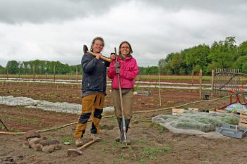 Kultgemüse Pflanzaktion