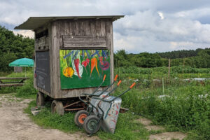 Kleine Kultgemüse Gemüseparzelle 35m² inkl. Bewässerung - Saison 2025 – Bild 5