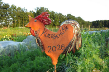 Kultgemüse 2026